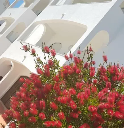In Portugal/silver Coast / Obidos Lagoons דירה *